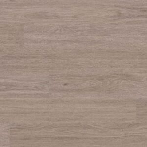 Canopy_WhitewashedElm