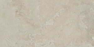 Centric_Silver_Crosscut